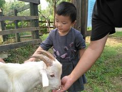 -田园东方蜜桃村的田野营地