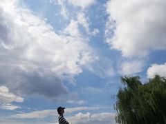 -莫子山公园
