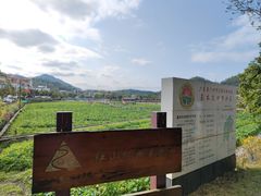 -红山村