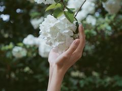 -上海滨江森林公园