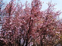 -元大都城垣遗址公园