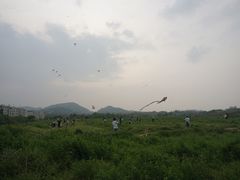 -美丽洲堂
