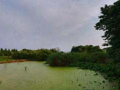 -上海市保健医疗中心(华东疗养院)