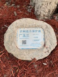 -复旦大学附属妇产科医院(黄浦院区)