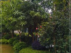 -南宁荔园维景国际酒店·荔园中餐厅