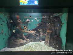 -常州海昌海洋探索馆