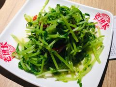 凉拌豆苗-老班长手工灌汤包老店(东山店)