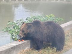 -上海野生动物园