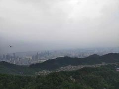 -大金鹰园