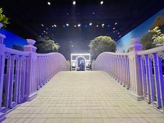-东区超现场