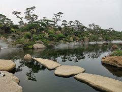 -罗红摄影艺术馆