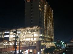 -丽嘉皇家酒店GRAN冲绳