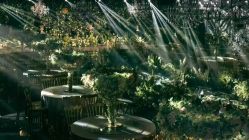 点击看大图 -京福禧宴大宅门·宴会厅