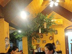 -猫岛主趣味餐厅(鼓浪屿店)