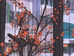 二楼四人包间-傑·料理·海鲜放题(佛山文华荟店)