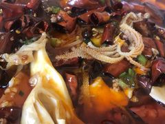 青椒毛血旺-红京鱼(西坝河店)