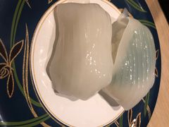 -大起水产回转寿司(道顿堀店)