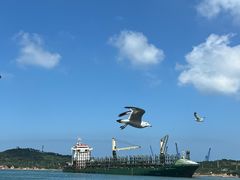 -海驴岛(荣成市)