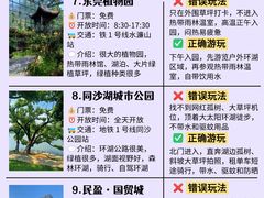 -东莞市大岭山森林公园