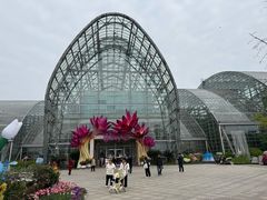 -南山植物园