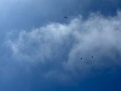 -鸡鸣山旅游景区