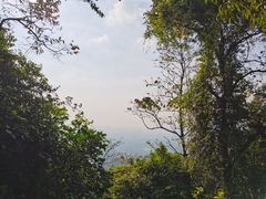 -火炉山森林公园