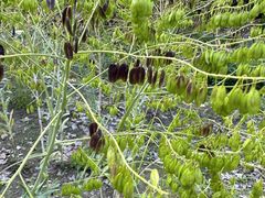-昆山城市生态森林公园