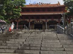 -深圳仙湖植物园-停车场