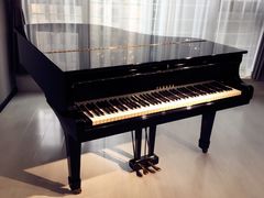 -Melody Mentor音乐私教馆(朝外·悠唐店)