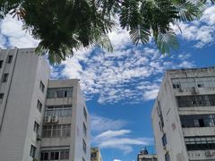 -壹只卤鹅·潮汕菜(莲塘店)