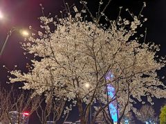 -星巴克臻选(盐城金鹰聚龙湖店)