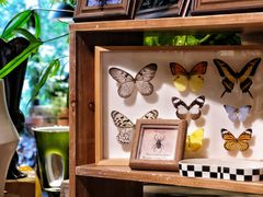 -自由生长植物工作室(深港花卉中心店)
