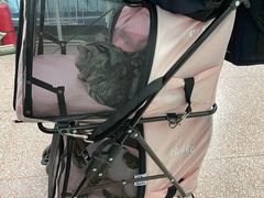 -北京博爱动物医院有限公司