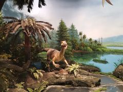 -辽宁古生物博物馆