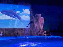 -华夏文旅海洋公园