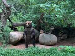 -广州长隆野生动物世界