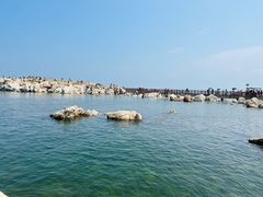 -养马岛旅游度假区