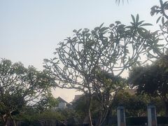 -三亚海棠湾万丽度假酒店