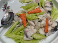 -丁老爷子苏香圆