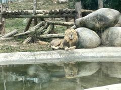 -泉州海丝野生动物世界