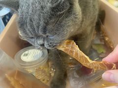 -平行世界·猫咖(首经贸店)