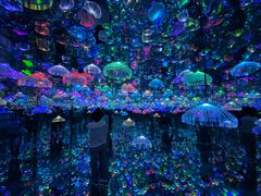 -天津梵高星空艺术馆(天河城旗舰店)