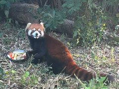 -宁波野生动物园