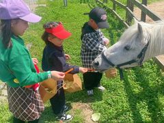 -田园东方蜜桃村的田野营地