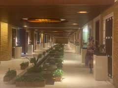 -松山湖凯悦酒店·沁园中餐厅·粤菜·商务宴请