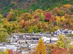 -塔川景区