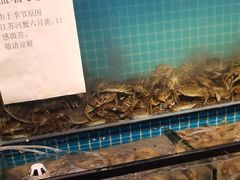 -海天盛宴潮汕蒸汽海鲜高端自助形象店