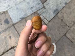 -方林富炒货店(西溪路78号本人店)