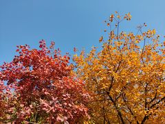 -周口店坡峰岭风景区