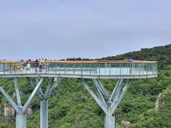 -王莽岭风景区